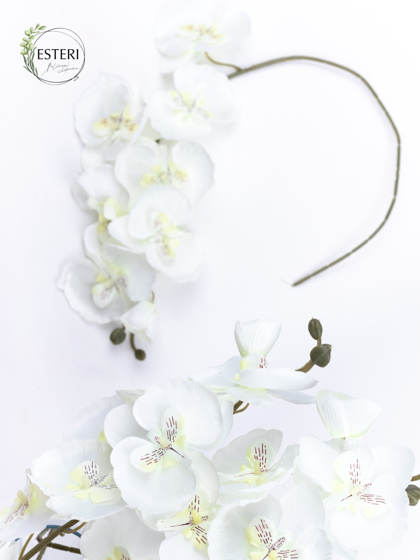 Orchidea biely kvet – Obrázok 4