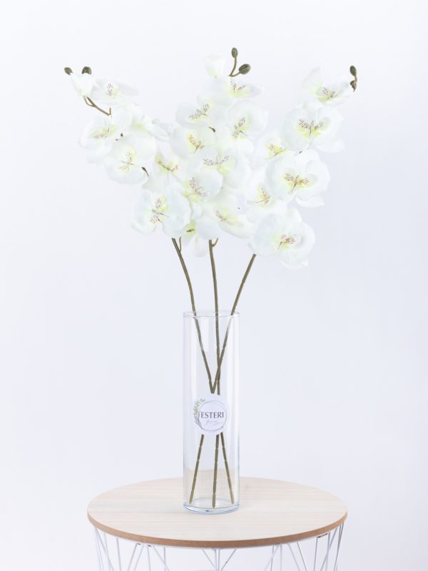 Orchidea biely kvet – Obrázok 2