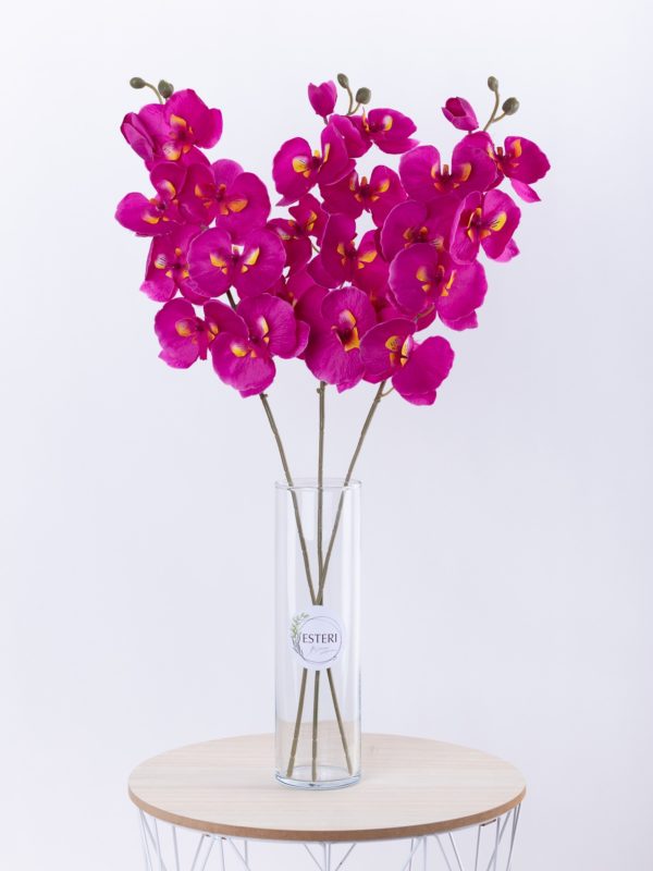 Orchidea cyklamenový kvet – Obrázok 2